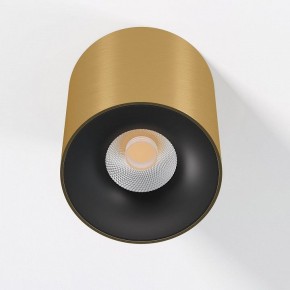 Накладной светильник Elektrostandard Primo 25116/LED в Полевском - polevskoy.ok-mebel.com | фото 2