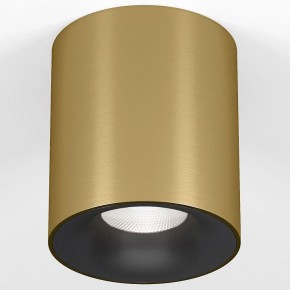 Накладной светильник Elektrostandard Primo 25116/LED в Полевском - polevskoy.ok-mebel.com | фото 2