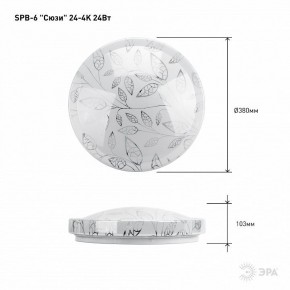 Накладной светильник Эра Классик SPB-6-24-4K (C) в Полевском - polevskoy.ok-mebel.com | фото 6