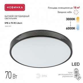 Накладной светильник Эра Классик SPB-6-70-RC Liburn в Полевском - polevskoy.ok-mebel.com | фото 10