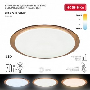 Накладной светильник Эра Классик SPB-6-70-RC Saturn (B) в Полевском - polevskoy.ok-mebel.com | фото 2