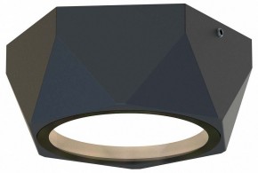 Накладной светильник Favourite Fantum 4670-1U в Полевском - polevskoy.ok-mebel.com | фото