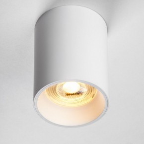 Накладной светильник Lightstar Rullo 213436 в Полевском - polevskoy.ok-mebel.com | фото 2