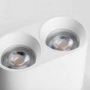 Накладной светильник Lightstar Rullo 213466 в Полевском - polevskoy.ok-mebel.com | фото 6