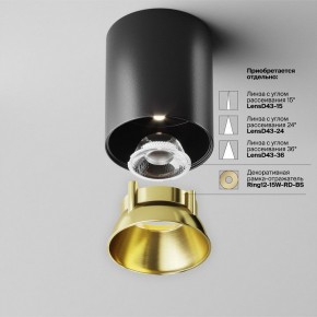 Накладной светильник Maytoni Alfa LED C064CL-12W4K-RD-B в Полевском - polevskoy.ok-mebel.com | фото 3