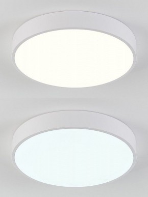 Накладной светильник Natali Kovaltseva  LED LAMPS 81111/5C в Полевском - polevskoy.ok-mebel.com | фото 4