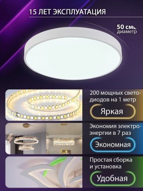 Накладной светильник Natali Kovaltseva  LED LAMPS 81112/5C в Полевском - polevskoy.ok-mebel.com | фото 4