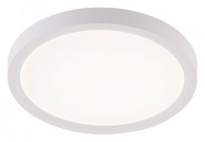 Накладной светильник Natali Kovaltseva PLAIN LED LAMPS 81113/1C в Полевском - polevskoy.ok-mebel.com | фото