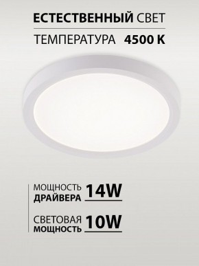 Накладной светильник Natali Kovaltseva PLAIN LED LAMPS 81113/1C в Полевском - polevskoy.ok-mebel.com | фото 4