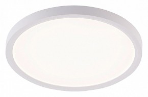 Накладной светильник Natali Kovaltseva PLAIN LED LAMPS 81113/2C в Полевском - polevskoy.ok-mebel.com | фото