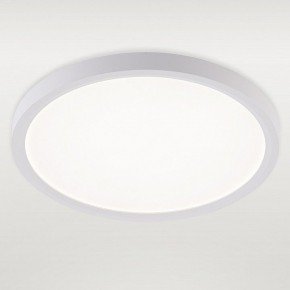Накладной светильник Natali Kovaltseva PLAIN LED LAMPS 81113/2C в Полевском - polevskoy.ok-mebel.com | фото 2