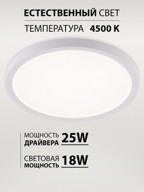 Накладной светильник Natali Kovaltseva PLAIN LED LAMPS 81113/2C в Полевском - polevskoy.ok-mebel.com | фото 3