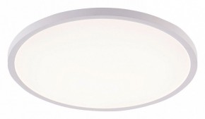 Накладной светильник Natali Kovaltseva PLAIN LED LAMPS 81113/5C в Полевском - polevskoy.ok-mebel.com | фото