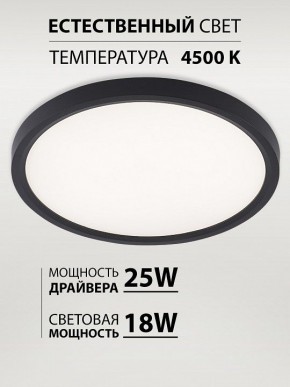 Накладной светильник Natali Kovaltseva PLAIN LED LAMPS 81114/2C в Полевском - polevskoy.ok-mebel.com | фото 3