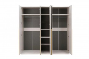 НИКОЛЬ 25 Шкаф 5-ти створчатый в Полевском - polevskoy.ok-mebel.com | фото 3