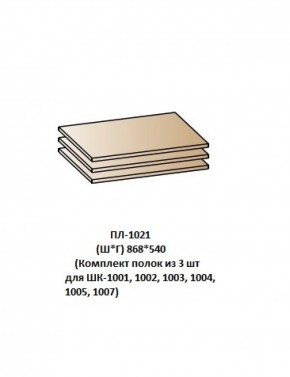 ПЛ-1021 (Комплект полок из 3 шт для ШК-1001, 1002, 1003, 1004, 1005, 1007) в Полевском - polevskoy.ok-mebel.com | фото