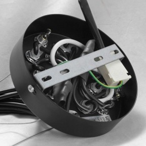 Подвесная люстра Lussole Seneca GRLSP-8177 в Полевском - polevskoy.ok-mebel.com | фото 10