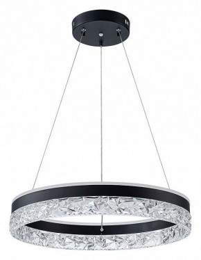 Подвесной светильник Arte Lamp Apollo A2549SP-75BK в Полевском - polevskoy.ok-mebel.com | фото 2