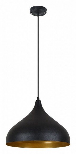 Подвесной светильник Arte Lamp Carmel A7076SP-1BK в Полевском - polevskoy.ok-mebel.com | фото 2