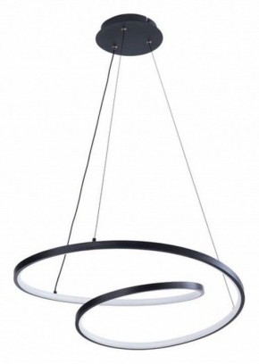 Подвесной светильник Arte Lamp Millo A3893SP-30BK в Полевском - polevskoy.ok-mebel.com | фото 2