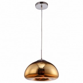 Подвесной светильник Arte Lamp Swift A8041SP-1GO в Полевском - polevskoy.ok-mebel.com | фото 2