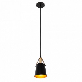 Подвесной светильник Arte Lamp Thomas A7032SP-1BK в Полевском - polevskoy.ok-mebel.com | фото 3