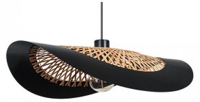 Подвесной светильник Arte Lamp Woodstock A7059SP-1BK в Полевском - polevskoy.ok-mebel.com | фото