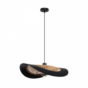Подвесной светильник Arte Lamp Woodstock A7059SP-1BK в Полевском - polevskoy.ok-mebel.com | фото 2