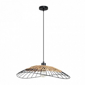 Подвесной светильник Arte Lamp Woodstock A7061SP-1BK в Полевском - polevskoy.ok-mebel.com | фото 2