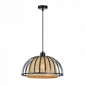 Подвесной светильник Arte Lamp Woodstock A7071SP-1BK в Полевском - polevskoy.ok-mebel.com | фото