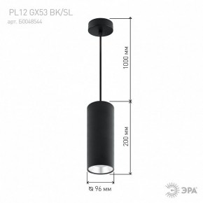 Подвесной светильник Эра  PL12 GX53 BK/SL в Полевском - polevskoy.ok-mebel.com | фото 8