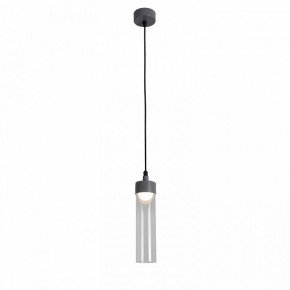 Подвесной светильник Favourite Outdoor 4703-1P в Полевском - polevskoy.ok-mebel.com | фото 3
