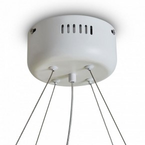 Подвесной светильник Freya Rain FR5546PL-L60W в Полевском - polevskoy.ok-mebel.com | фото 9