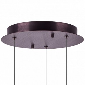 Подвесной светильник Lightstar Caramello 796139 в Полевском - polevskoy.ok-mebel.com | фото 13