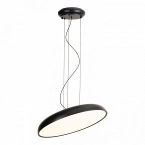 Подвесной светильник Lussole Crook LSP-7360 в Полевском - polevskoy.ok-mebel.com | фото 2
