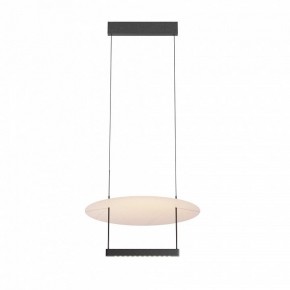 Подвесной светильник Maytoni Ambience MOD280PL-L23B3K1 в Полевском - polevskoy.ok-mebel.com | фото 3