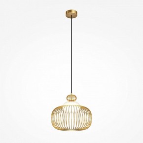 Подвесной светильник Maytoni Levitation MOD376PL-01G в Полевском - polevskoy.ok-mebel.com | фото 2