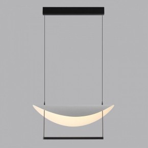 Подвесной светильник Odeon Light Next 7015/20L в Полевском - polevskoy.ok-mebel.com | фото 4