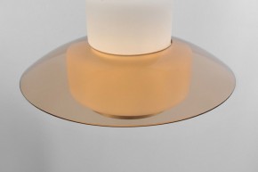 Подвесной светильник Rivoli Camille Б0061901 в Полевском - polevskoy.ok-mebel.com | фото 10