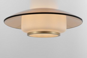 Подвесной светильник Rivoli Camille Б0061901 в Полевском - polevskoy.ok-mebel.com | фото 11