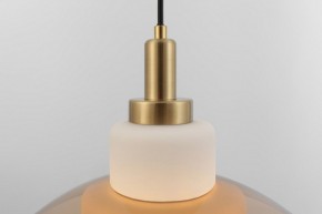 Подвесной светильник Rivoli Camille Б0061901 в Полевском - polevskoy.ok-mebel.com | фото 12