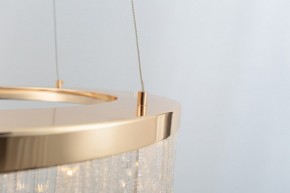 Подвесной светильник Rivoli Diane Б0061976 в Полевском - polevskoy.ok-mebel.com | фото 7