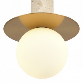 Подвесной светильник ST-Luce Earthy SL1194.303.01 в Полевском - polevskoy.ok-mebel.com | фото 5