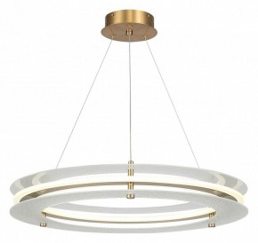Подвесной светильник ST-Luce FAGY SL6245.203.01 в Полевском - polevskoy.ok-mebel.com | фото 2