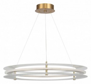 Подвесной светильник ST-Luce FAGY SL6245.203.01 в Полевском - polevskoy.ok-mebel.com | фото 3