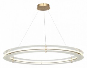 Подвесной светильник ST-Luce FAGY SL6245.213.01 в Полевском - polevskoy.ok-mebel.com | фото 4