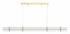 Подвесной светильник ST-Luce FAGY SL6245.223.01 в Полевском - polevskoy.ok-mebel.com | фото 3