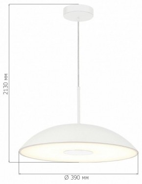 Подвесной светильник ST-Luce Lido SL6128.503.01 в Полевском - polevskoy.ok-mebel.com | фото 4