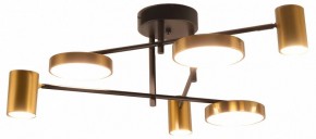 Потолочная люстра Kink Light Рапис 07645-6D,19(20) в Полевском - polevskoy.ok-mebel.com | фото
