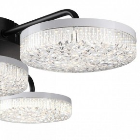 Потолочная люстра Lumion Didana 8236/4CL в Полевском - polevskoy.ok-mebel.com | фото 7
